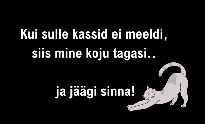 Kassisõbra matt